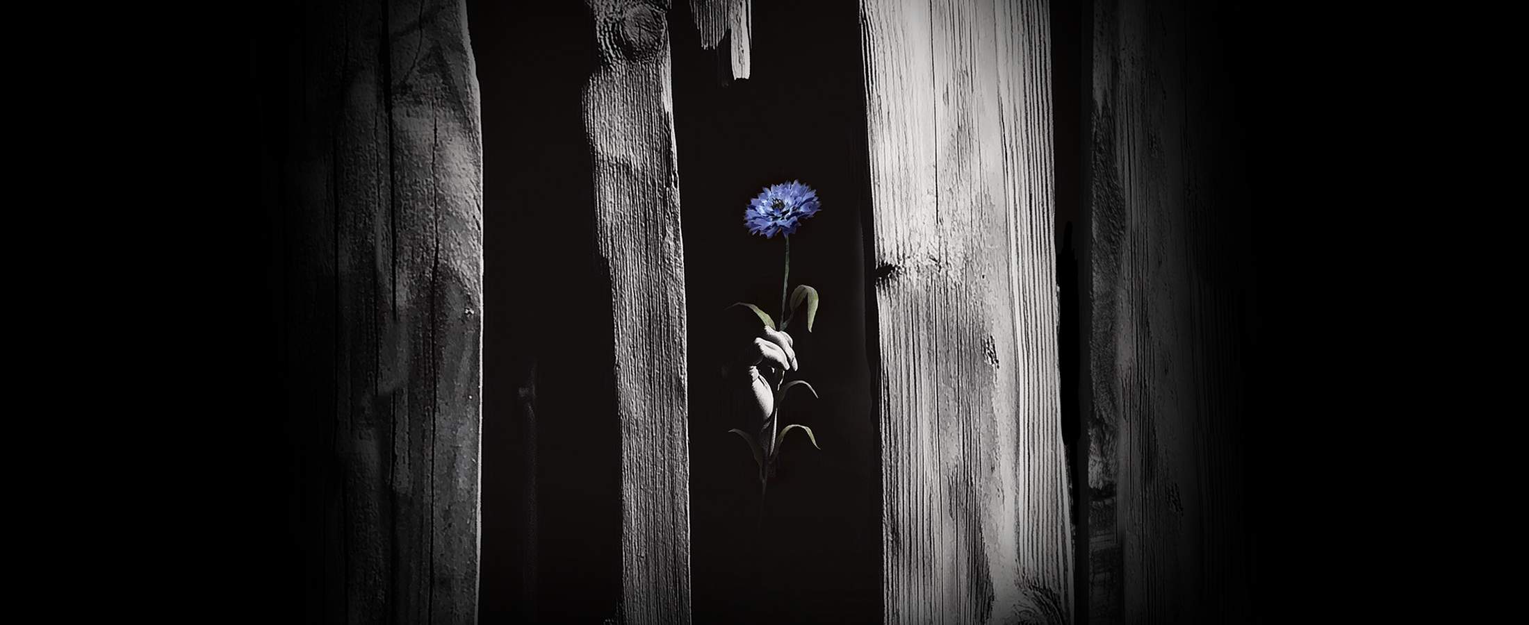 Светит, да не греет