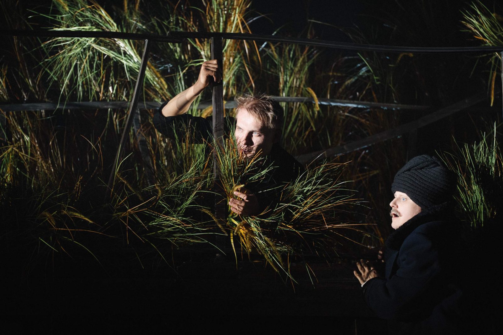 Светит, да не греет