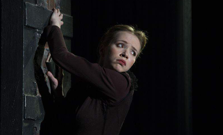 Комедия о вдове